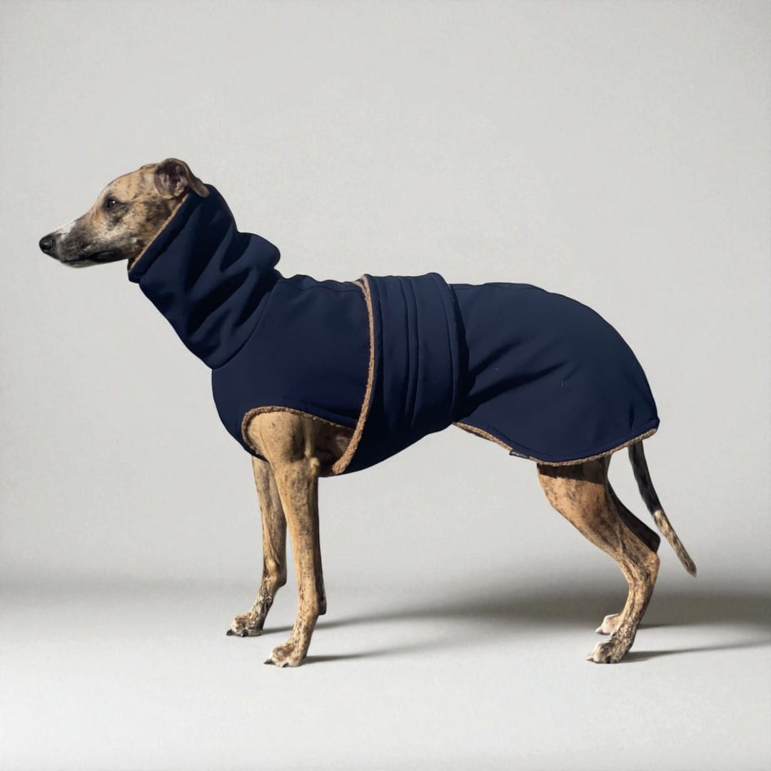 Przeciwdeszczowa kurtka, ubranie dla charta - softshell navy blue  & camel