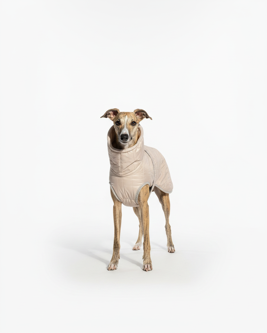 Zimowa kurtka, ubranko dla charta (whippet, charcik włoski) - sweet beige