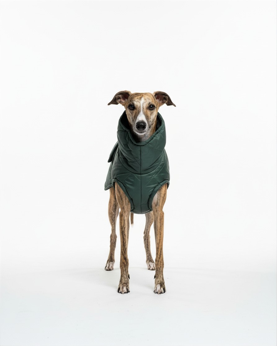 Zimowa kurtka puchowa, ubranko dla charta (whippet, charcik włoski) - zielona matowa